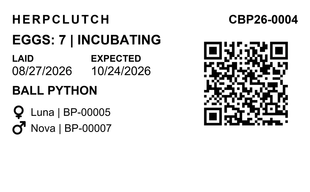 HerpClutch clutch label CBP26-0004: 7 Ball Python eggs, incubating, laid 08/27/2026, expected 10/24/2026, from female Luna (BP-00005) and male Nova (BP-00007), with a QR code that opens the clutch in HerpClutch.